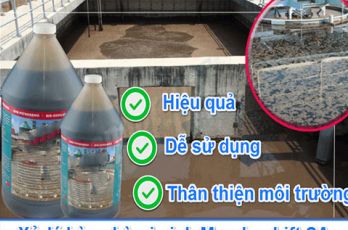 Dịch Vụ Vận Chuyển Bùn Vi Sinh - Hút Nước Thải - Chất Thải