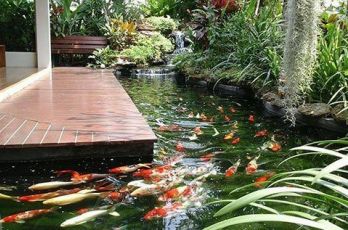 Đơn Vị Thiết Kế - Thi Công Hồ Cá Koi Đẹp Theo Yêu Cầu Tại Đà Nẵng - Quảng Nam